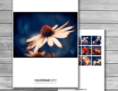 Office Photo Calendar 2017